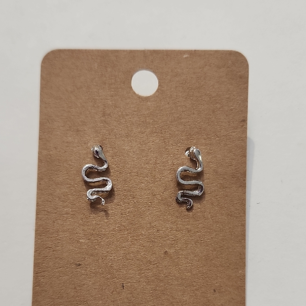 Silver Stainless Steel Snake Earrings NWOT